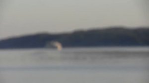 АХ, БЕЛЫЙ  ПАРОХОД, БЕГУЩАЯ ВОДА...