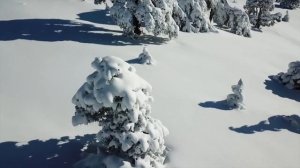 Когда у тебя не хватает решимости, вспомни...