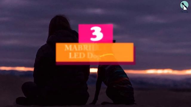 ✅Top 5 Best Glow In The Dark Dog Collars of 2024 смотреть онлайн