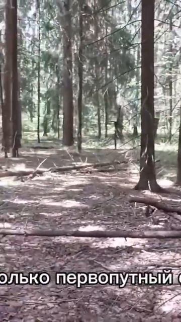 Владимир Набоков | Нас мало, юных, окрыленных смотреть онлайн