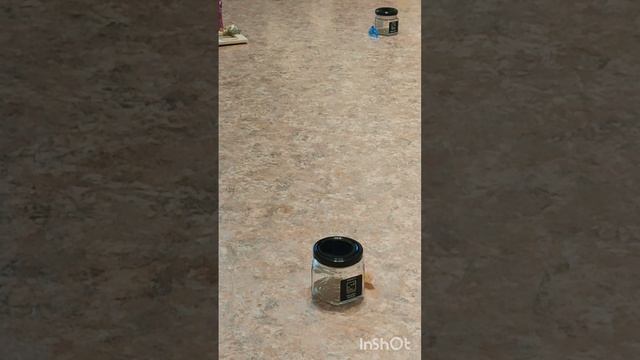 Мама, купи мне пони 2. Лиза З.