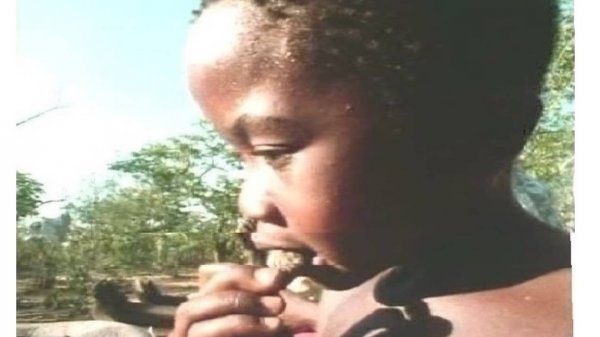 2-3+   Телеологическая волевая функция психики в деле питания  организмов