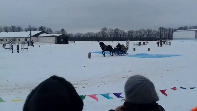 Экипажная езда. смотреть онлайн