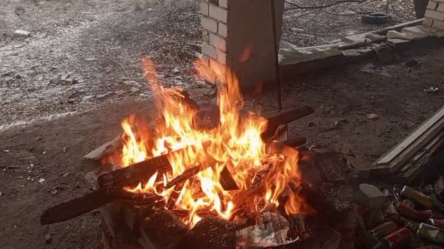 Сколько получает опекун.