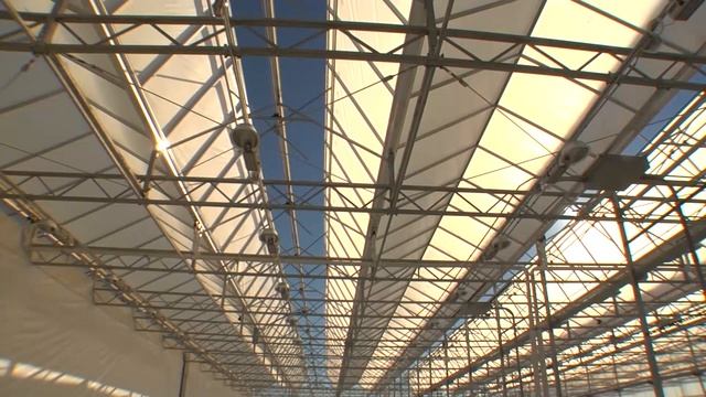 Growing Greener Pot in Greenhouses смотреть онлайн