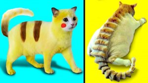 Странные Кошки, Которые Действительно Существуют