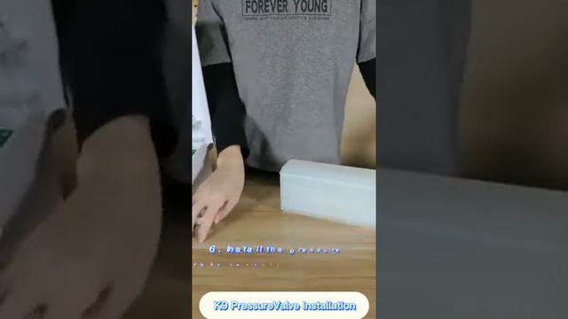 How to install the New K9 Pro Thermometer смотреть онлайн