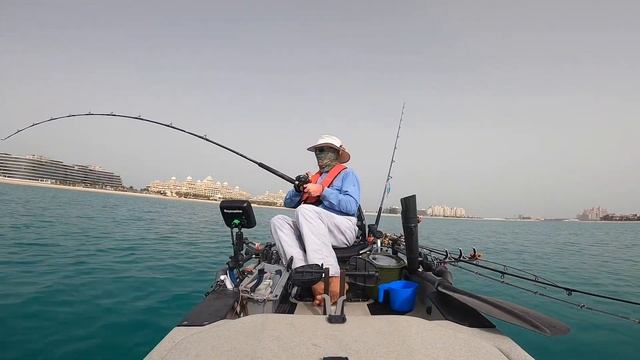 Dubai Kayak Fishing Barracuda & Queen March 14 2021 смотреть онлайн