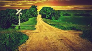 Стив Морган. Перекресток Времен