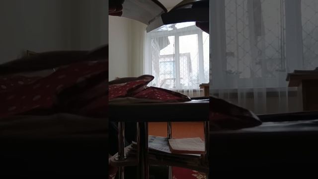 Принуждение к заключению договора по гарантии на дошкольное образование.Видеопротокол от 10.11.2023 смотреть онлайн