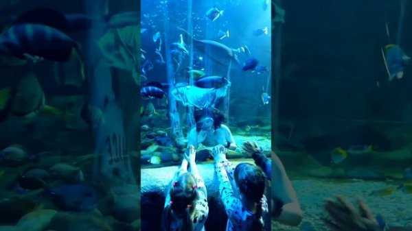 Океанариум Астана