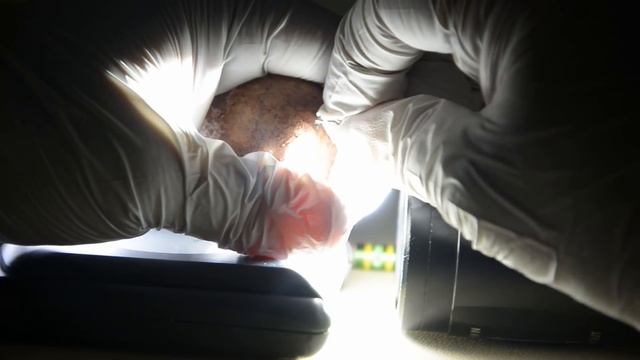 How to raise velociraptor chicks смотреть онлайн