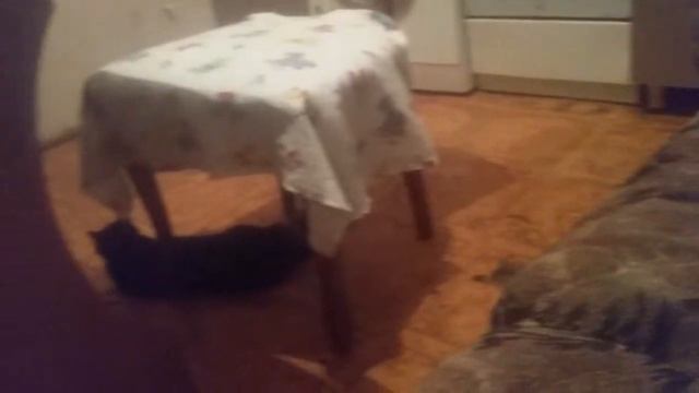 Все   факты  о   моне