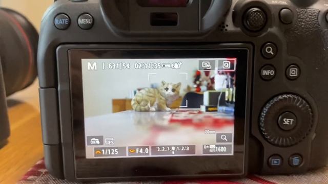 The difference in animal and eye detection in the R7 and the R6 II. It’s working different. смотреть онлайн
