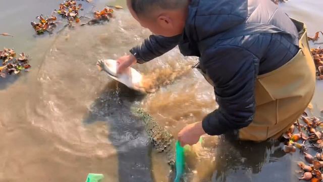 小伙建四层楼房，第一天就将近花了2万，赶紧买只5斤大甲鱼过过瘾 смотреть онлайн