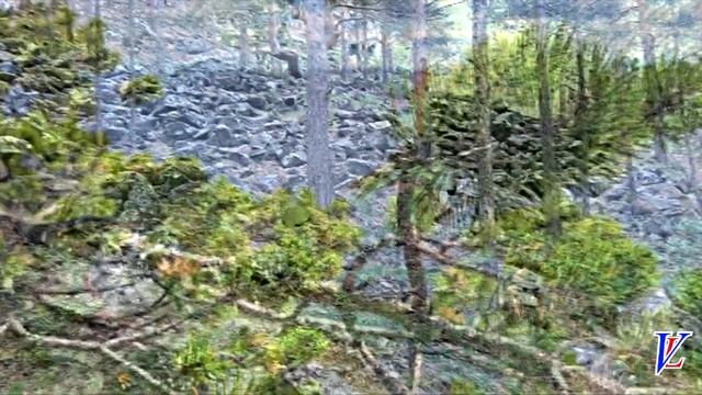 Олег Сегаев - "Мой город". смотреть онлайн