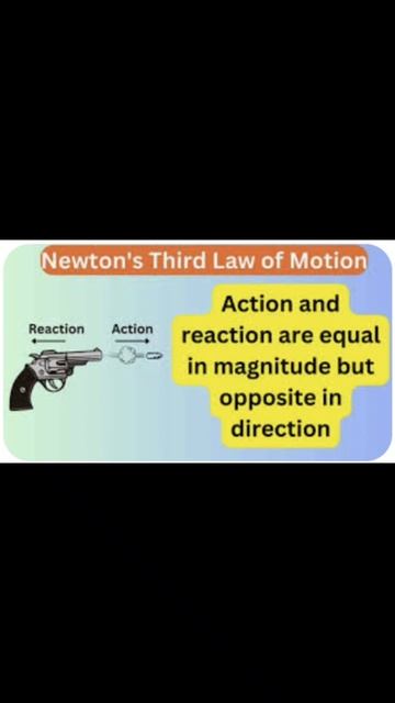 Newton's Third Law Of Motion