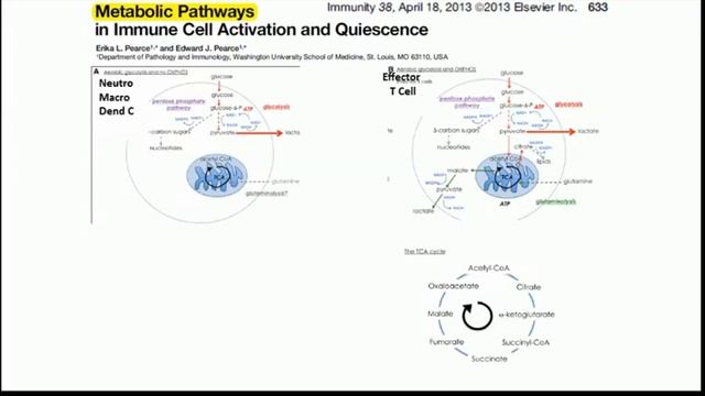 Assessing response to therapy SvO2, lactate, PCO2 gap, others Didier Payen 2014