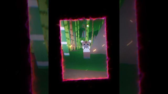 амазонка Phonk