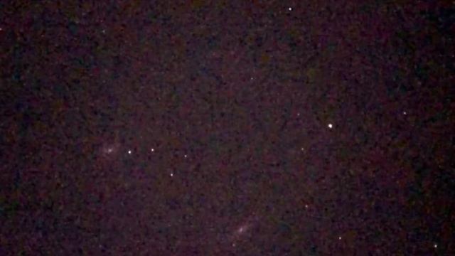 Leo Triplet Pic & Movie