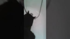 Я моюсь