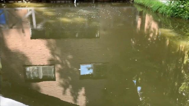 Насыщение воды в пруду воздухом.Белуга охотится смотреть онлайн