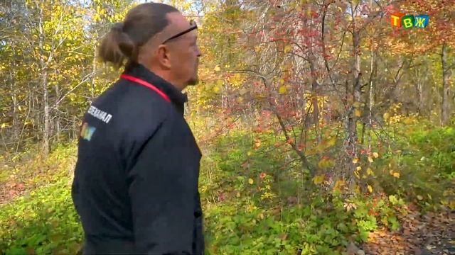 Орлёнок Миньяр смотреть онлайн