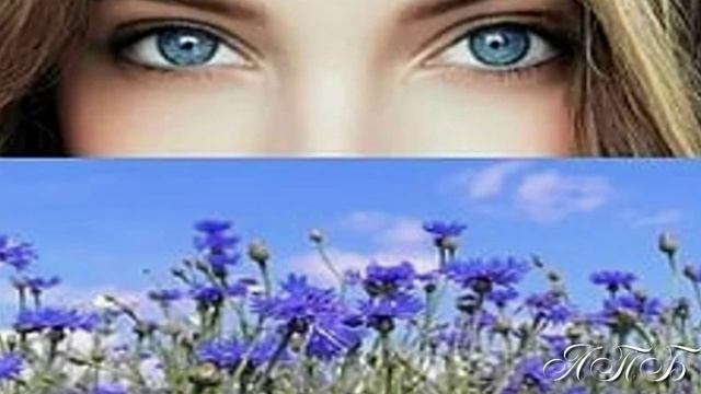 ВИА " ОРЭРА "--- " Васильки " смотреть онлайн