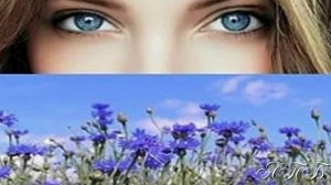 ВИА  « ОРЭРА «--- « Васильки «