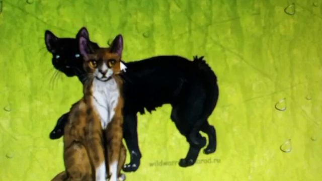 Пары котов воителей смотреть онлайн