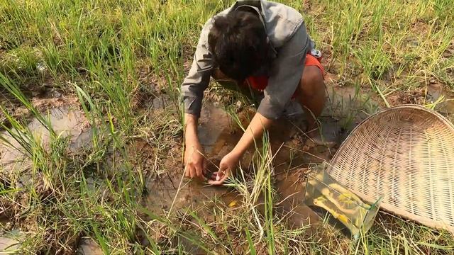 Super Amazing Result With Beautiful Axolotl Salamander| Caught a lot of Fish in Lake near village смотреть онлайн