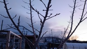 Сибирская жизнь многодетной семьи Саяногорск Хакасия