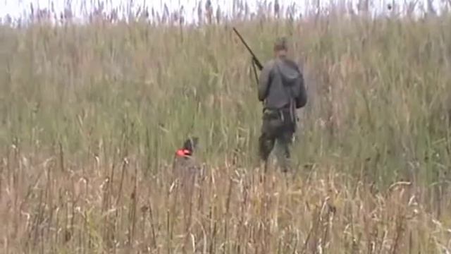 ПРАКТИЧЕСКИ ЛОВ смотреть онлайн