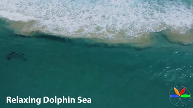 Relaxing Dolphin Sea, Meditation, Sleep Chill, Music смотреть онлайн