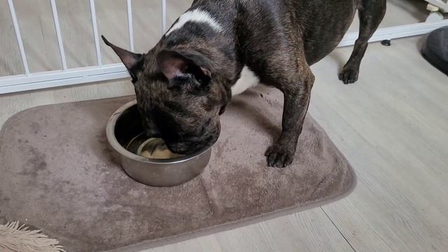 Проявилась аллергическая реакция на препарат. смотреть онлайн