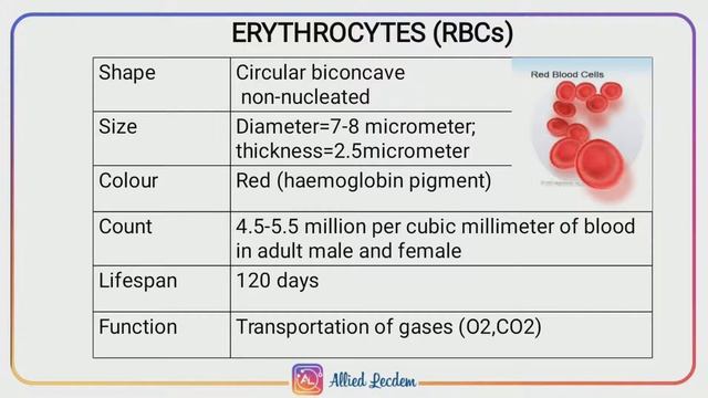BLOOD | PA | LECTURE 5 | ALLIED LECDEM. смотреть онлайн