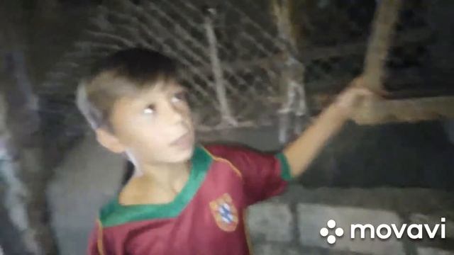 Кролиководство форум серия 2