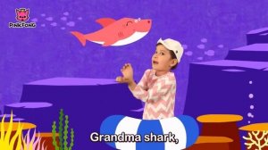 Baby shark/ детская песня про акул