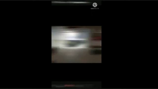 геккон и черепашка пот клип смотреть онлайн