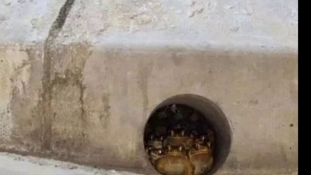 14 странных фото смотреть онлайн