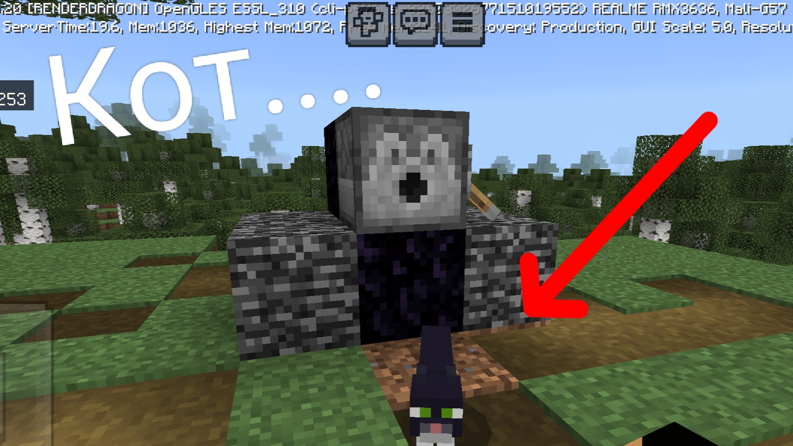 Читер случайно стал Котом в Майнкрафт.