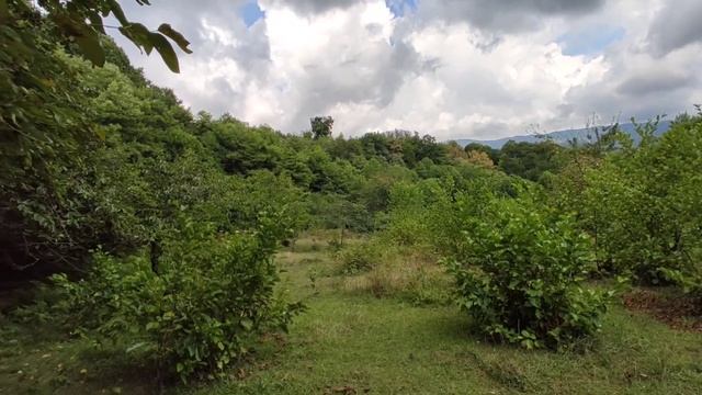 70сот Сочи, Илларионовка. Отличный вид!