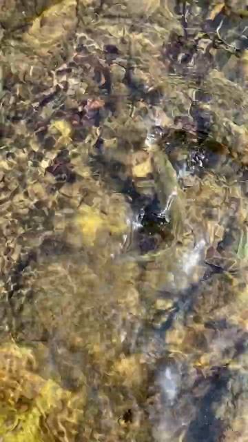 ウグイ смотреть онлайн