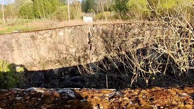 МОЙ ЧЕРЁМУХОВО-АИСТИНЫЙ РАЙ / ПСКОВСКАЯ ОБЛАСТЬ / МАЛАЯ РОДИНА смотреть онлайн