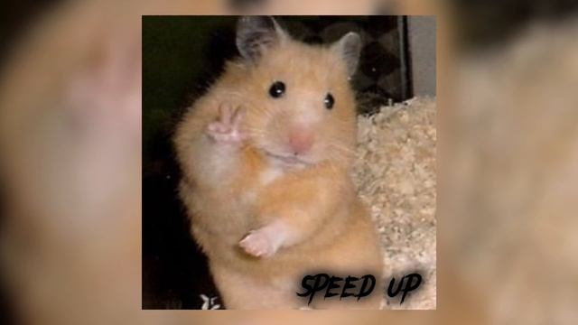 Чина-speed up смотреть онлайн