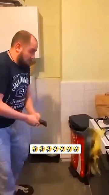 Dchis Funny Comedy Is Hafte Ki Videocl Company Video Shoot 😂😂 #funny #sorts