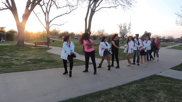 Sigma Lambda Gamma Xi Beta Chapter Neophyte Show- Sigma Line Part 2 смотреть онлайн