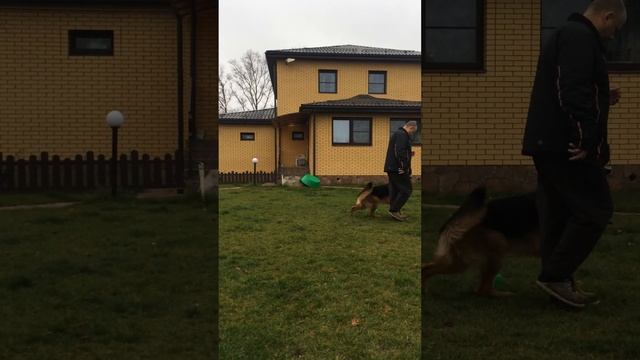 послушка 11 м