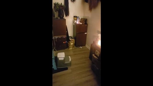 Review KRIB BLING 3.5 Cu.Ft Compact Refrigerator Mini Fridge with Freezer,7 Level Adjustable Thermo смотреть онлайн