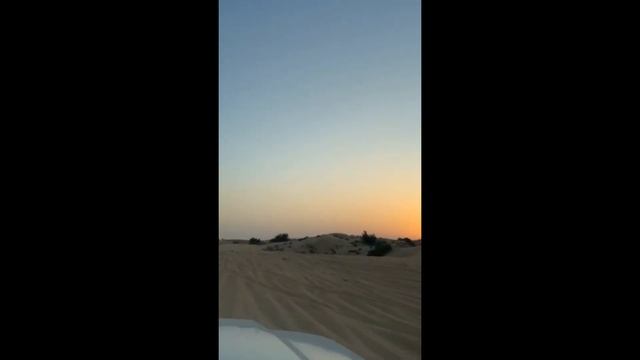 Viaja GRATIS al DESIERTO Con LATINHOUSE (2024) смотреть онлайн